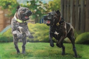 IMG 6575 300x198